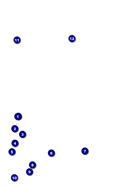 Your Photo Concert Green VIP Event Badge Small VIP Event Badge Small Front Field Markers