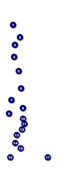 Youth Softball VIP Event Badge Large VIP Event Badge Large Front Field Markers