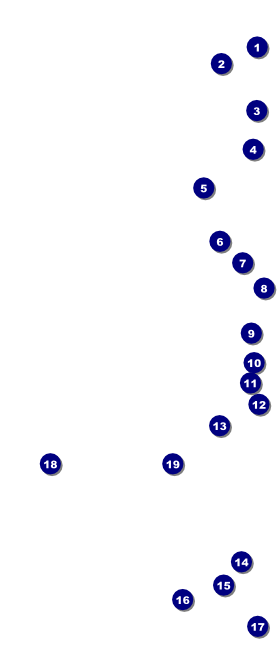 Animal Print VIP Event Badge Large Front Field Markers