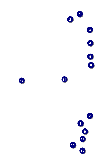 Retro Sunburs VIP Event Badge Medium Front Field Markers