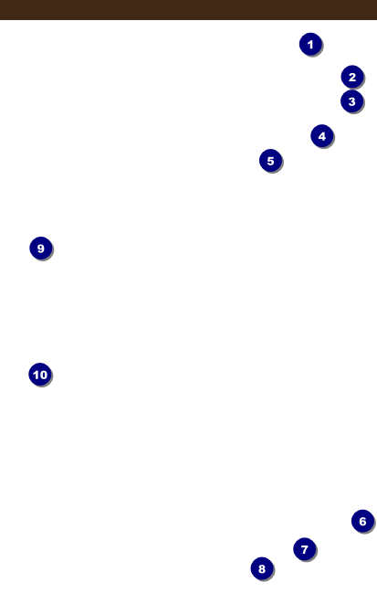 Beer Festival 2 VIP Event Badge Medium Front Field Markers