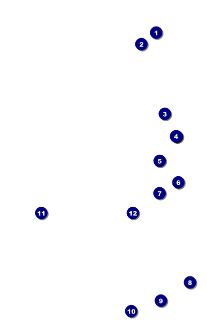 Bowling League VIP Event Badge Medium Front Field Markers