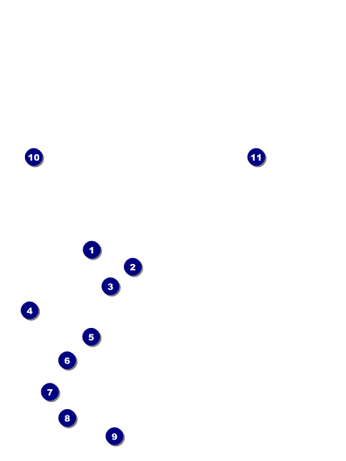 Cherry Blossom Circle Economy Event Badge Front Field Markers