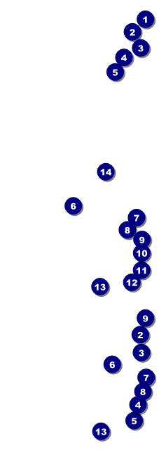 Zombie Woman General Admission Ticket Front Field Markers
