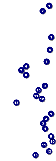 BBQ Backyard Event Ticket Front Field Markers