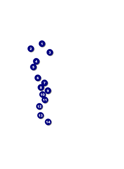 Bar Mitzvah Blue & Green Invitation Front Field Markers