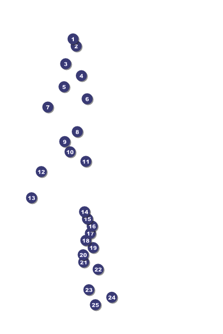 St. Patrick's Day Poster 002 Front Field Markers