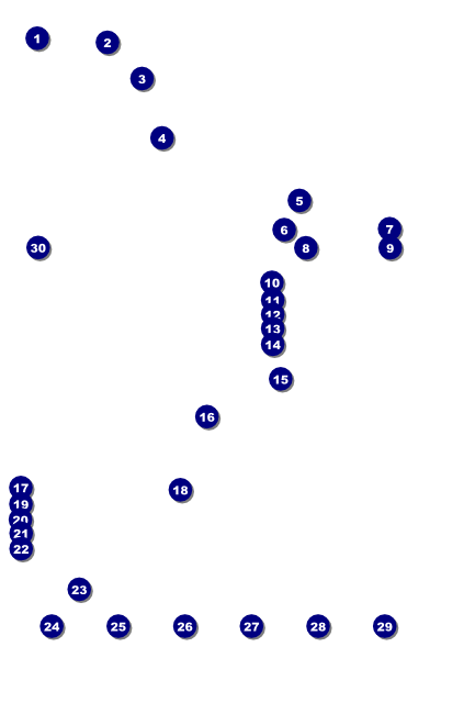 Class Reunion Mascot Green Poster Front Field Markers