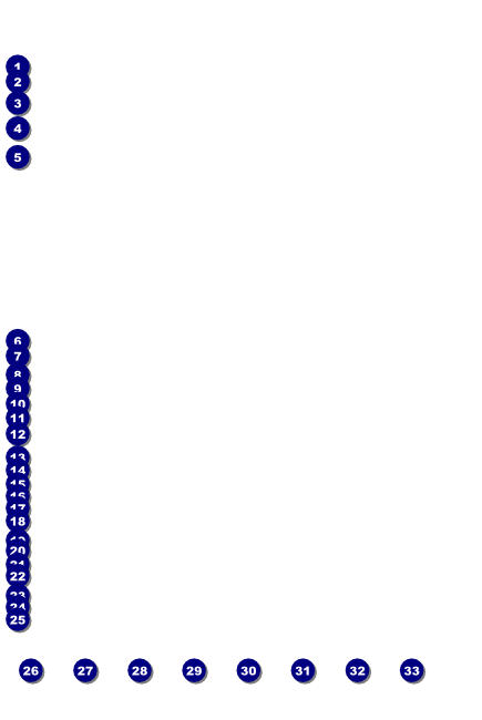 Chicago Poster with Image Upload Front Field Markers