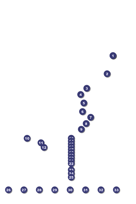 Indy Racing Poster Front Field Markers