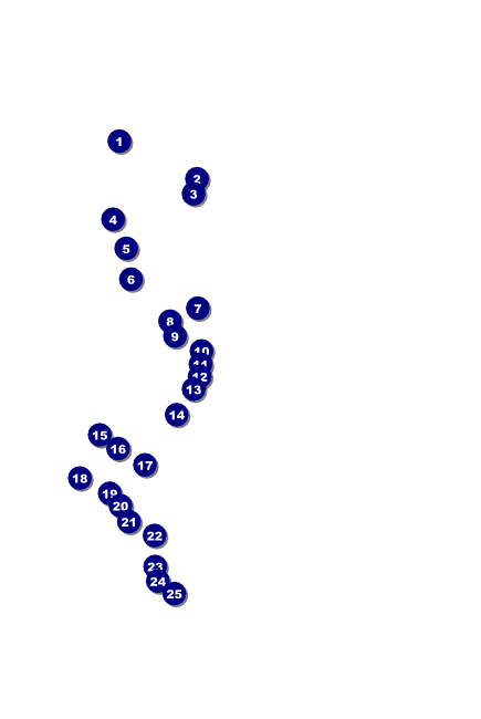 Cap and Gown Poster Front Field Markers