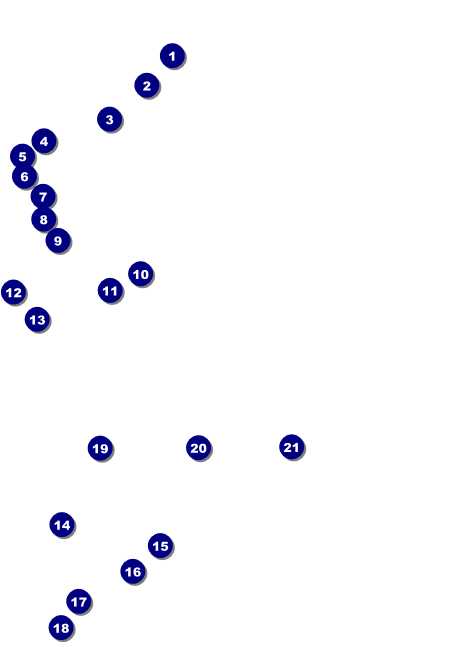 Winter Festival Postcard Front Field Markers