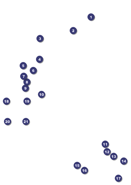 LGBT Pride Postcard Front Field Markers