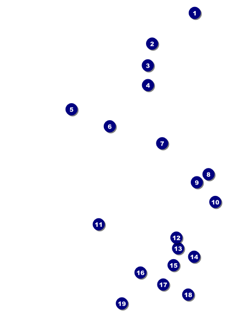 Champagne Lights Postcard Front Field Markers