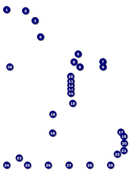 Class Reunion Mascot Orange Postcard Front Field Markers