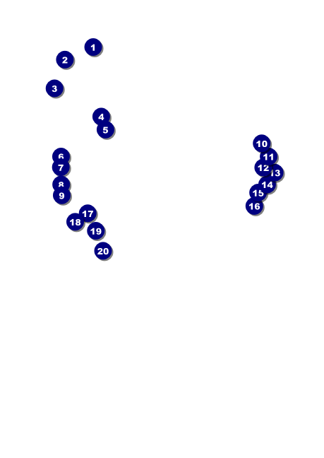 San Jose Postcard Front Field Markers