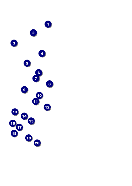 Dallas Postcard Front Field Markers