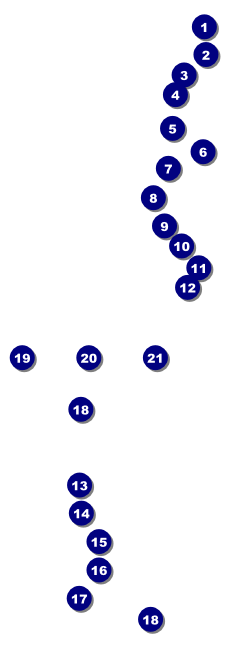 Golf Backswing Raffle Ticket Front Field Markers