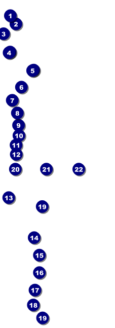 Chinese New Year Celebration Raffle Ticket Front Field Markers
