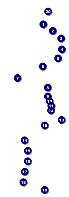 Fourth of July Raffle Ticket Front Field Markers