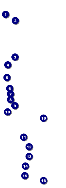 Casino Chips Raffle Ticket Front Field Markers