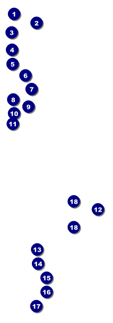 Charlotte Raffle Ticket Front Field Markers