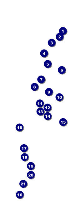 Chinese New Year Horse Raffle Ticket Front Field Markers