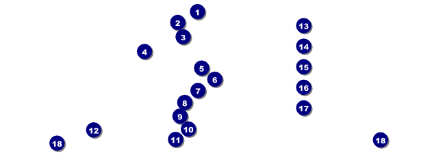 Twin Cities Raffle Ticket Front Field Markers