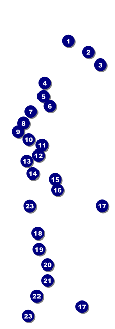 San Diego Raffle Ticket with stub Front Field Markers