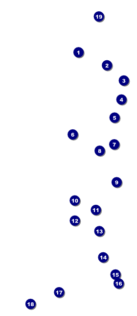 Holiday Snowflake VIP Pass Front Field Markers
