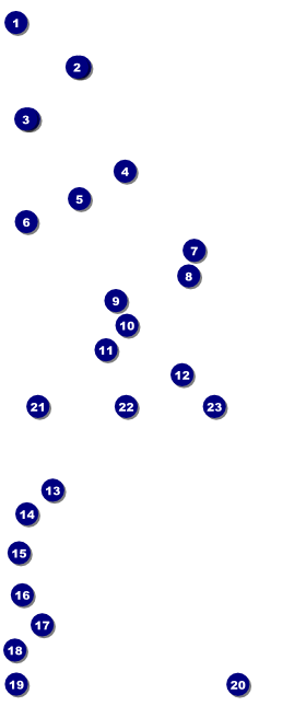 Holiday Tree VIP Pass Front Field Markers