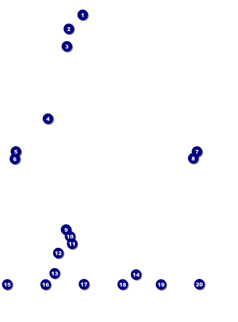 Carnival Monkey Logo Flyer Front Field Markers