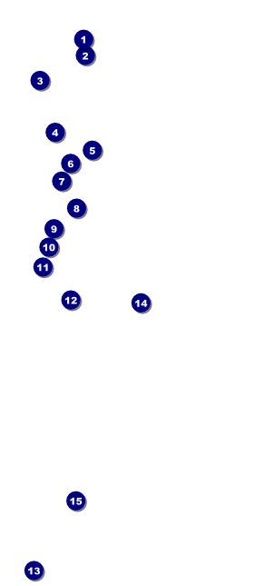 Red Tent VIP Pass Front Field Markers