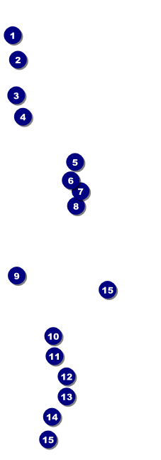 Pirate Ship Raffle Ticket Front Field Markers