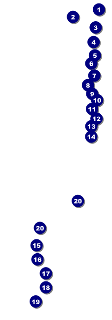 Sacramento Raffle Ticket Front Field Markers