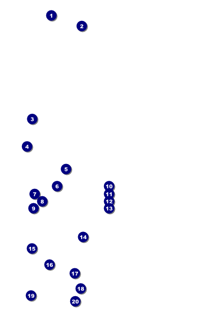 Midsummer Night's Dream Poster Front Field Markers