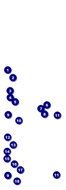 Burgers and Beer Event Ticket Front Field Markers
