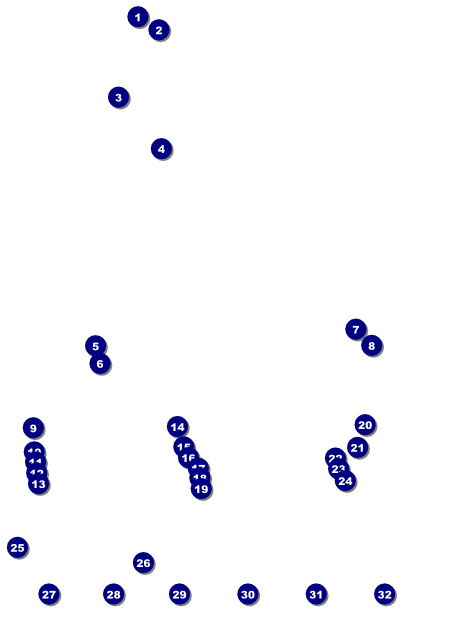 Magic Show Logo Flyer Front Field Markers