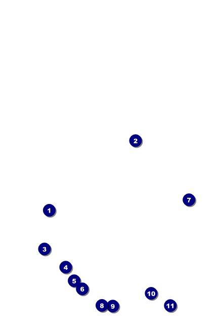 Dinosaur Drink Ticket Front Field Markers