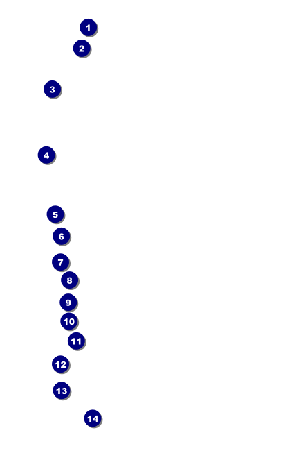 Tie Dye Drink Ticket Front Field Markers