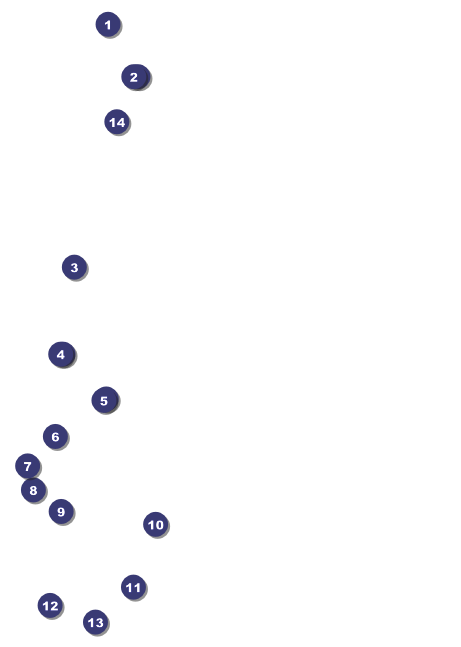 Carnival Club Flyer Front Field Markers