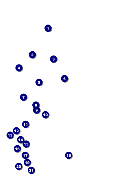 Year Parchment Paper Club Flyer Front Field Markers