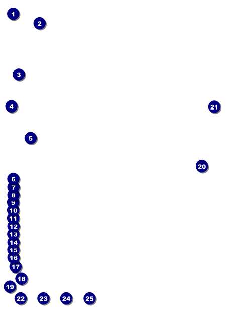 Chinese New Year Snake Club Flyer Front Field Markers