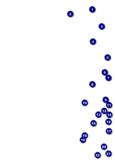 World Food Festival Club Flyer Front Field Markers